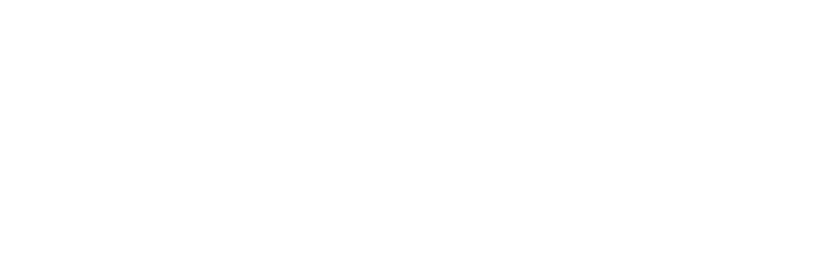 LVNL