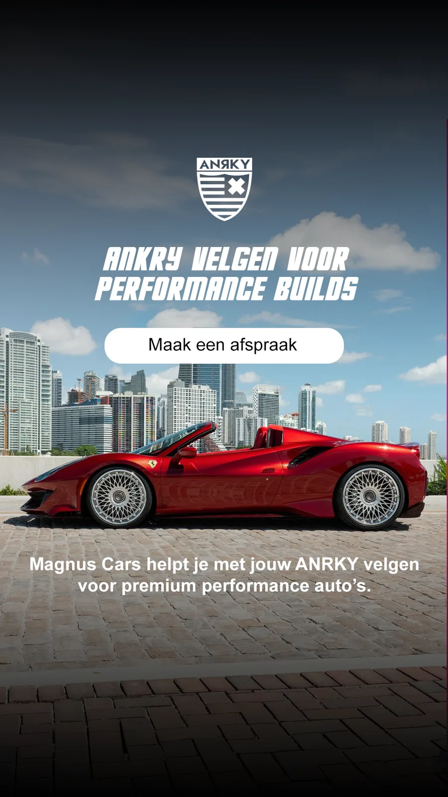 Magnus Cars – from the project