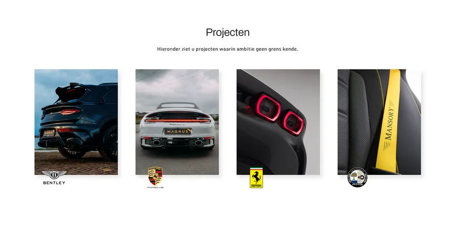 Magnus Cars – from the project