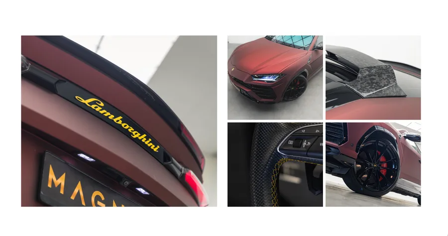 Magnus Cars – from the project