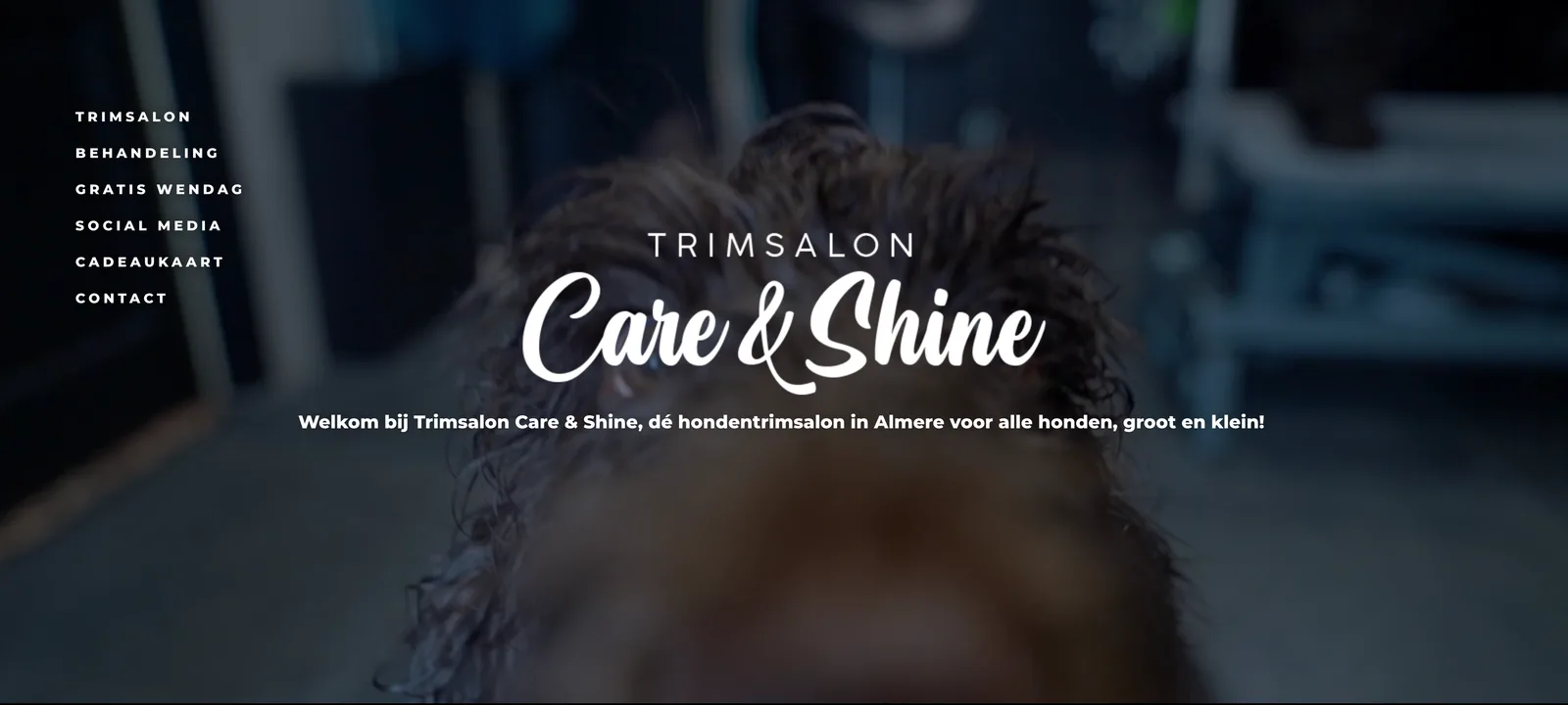 Website Trimsalon Care & Shine, scherm 1