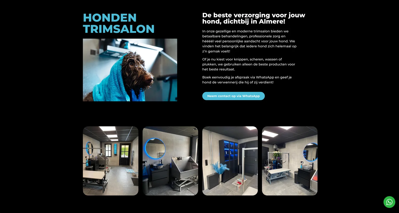 Website Trimsalon Care & Shine