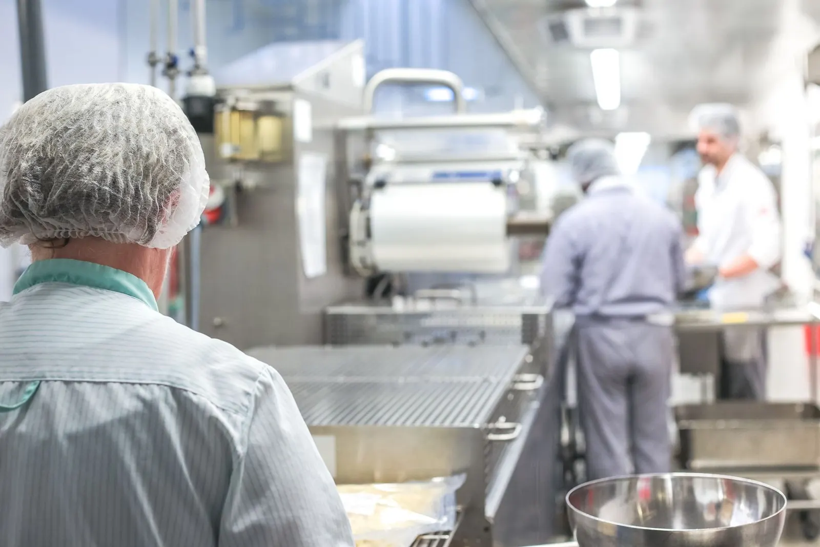 Operators in hairnets working at stainless steel food processing equipment